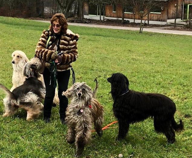 Neujahrsgrüße aus der Schweiz